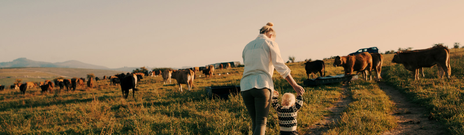 livestock farm